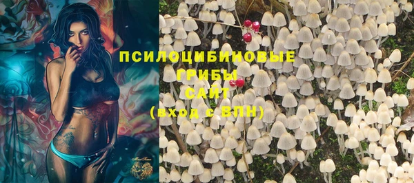 мдма Белокуриха