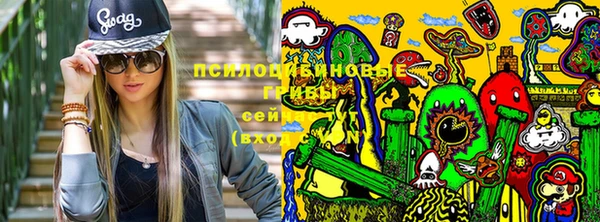 не бодяженный Надым