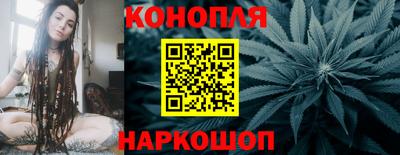мяу мяу мука Гатчина