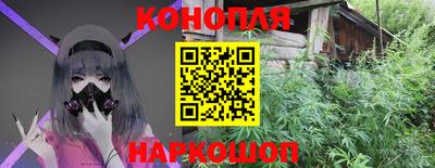 мяу мяу мука Гатчина