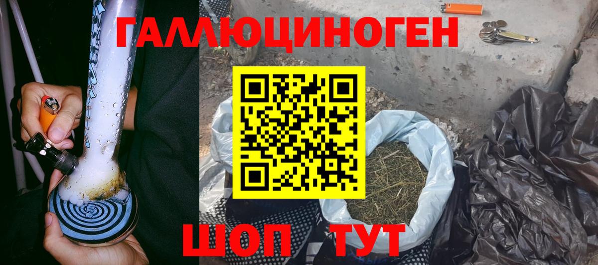 Галлюциногенные грибы мицелий Новоалександровск