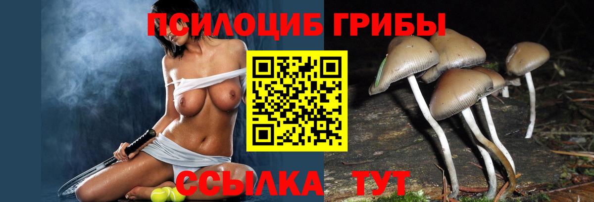 Псилоцибиновые грибы Magic Shrooms  Псилоцибиновые грибы прущие грибы  Новоалександровск  Вход с VPN 